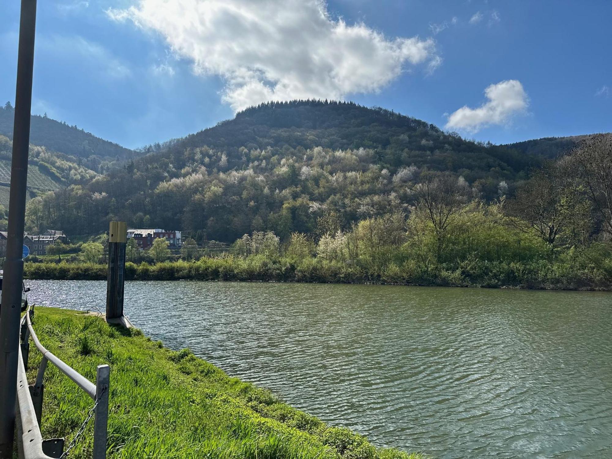 Altes Eichamt Lägenhet Bernkastel-Kues Exteriör bild